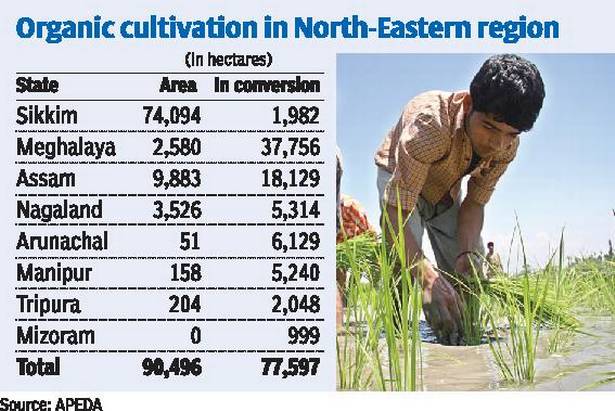 Organic farming in NE